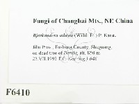 煙管菌藏品圖，第2張