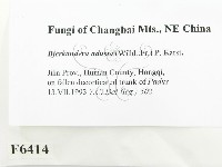 煙管菌藏品圖，第2張