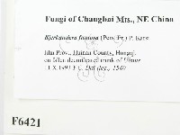 登錄號:F0006421藏品圖，第2張