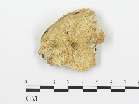 登錄號:F0006421藏品圖，第1張