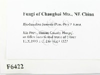 登錄號:F0006422藏品圖，第2張