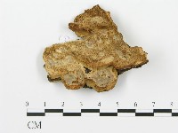 登錄號:F0006422藏品圖，第1張