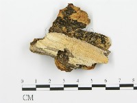 登錄號:F0006422藏品圖，第3張