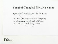 登錄號:F0006423藏品圖，第2張