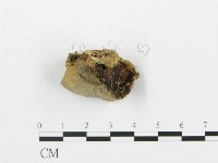 登錄號:F0006423藏品圖，第3張