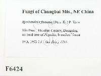 登錄號:F0006424藏品圖，第2張