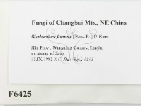 登錄號:F0006425藏品圖，第2張