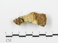 登錄號:F0006425藏品圖，第3張