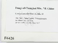 登錄號:F0006426藏品圖，第2張