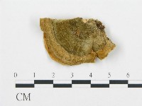 登錄號:F0006426藏品圖，第3張