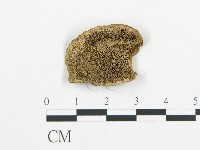 登錄號:F0006428藏品圖，第1張