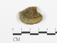 登錄號:F0006428藏品圖，第3張