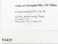 登錄號:F0006429藏品圖，第2張