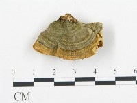 登錄號:F0006429藏品圖，第3張