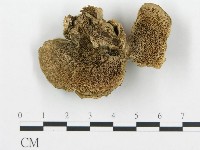 登錄號:F0006430藏品圖，第1張