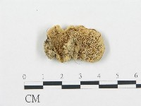 登錄號:F0006431藏品圖，第1張