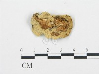 登錄號:F0006431藏品圖，第3張