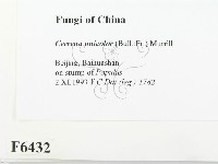 登錄號:F0006432藏品圖，第2張