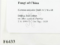 登錄號:F0006433藏品圖，第2張