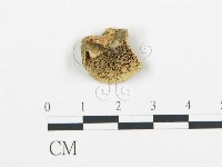 登錄號:F0006433藏品圖，第1張