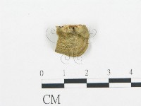 登錄號:F0006433藏品圖，第3張