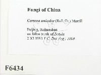 登錄號:F0006434藏品圖，第2張