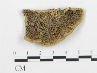 登錄號:F0006434藏品圖，第1張