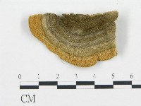 登錄號:F0006434藏品圖，第3張