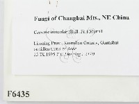 登錄號:F0006435藏品圖，第2張