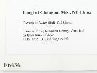 登錄號:F0006436藏品圖，第2張