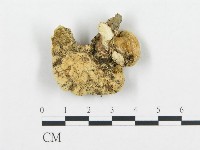 登錄號:F0006436藏品圖，第3張