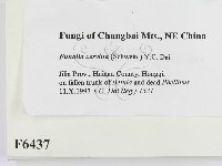 登錄號:F0006437藏品圖，第2張