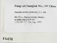 登錄號:F0006438藏品圖，第2張