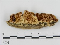 登錄號:F0006438藏品圖，第1張