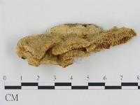 登錄號:F0006438藏品圖，第3張