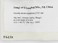 登錄號:F0006439藏品圖，第2張