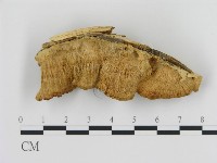 登錄號:F0006439藏品圖，第1張