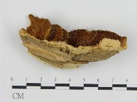 登錄號:F0006439藏品圖，第3張