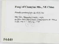 登錄號:F0006440藏品圖，第2張