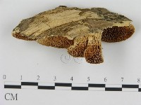 登錄號:F0006440藏品圖，第3張