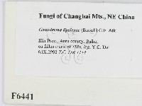 登錄號:F0006441藏品圖，第2張