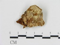 登錄號:F0006441藏品圖，第3張