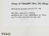 登錄號:F0006442藏品圖，第2張