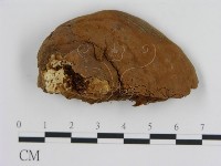 登錄號:F0006442藏品圖，第1張