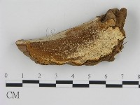 登錄號:F0006443藏品圖，第4張