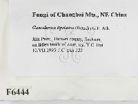 登錄號:F0006444藏品圖，第2張