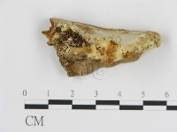 登錄號:F0006444藏品圖，第3張