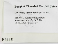 登錄號:F0006445藏品圖，第2張