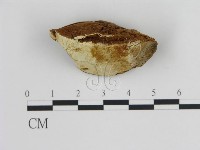 登錄號:F0006445藏品圖，第3張