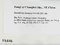 登錄號:F0006446藏品圖，第2張